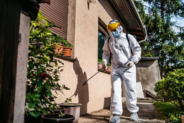 Best Commercial Pest Control Services  in Combes, TX