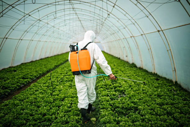 Pest Control Cost in Combes, TX