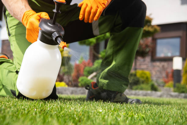 Best Wildlife Control Services  in Combes, TX