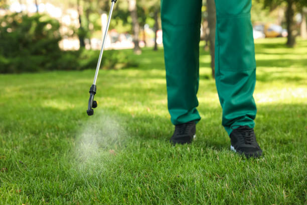 Best Pest Prevention Services  in Combes, TX