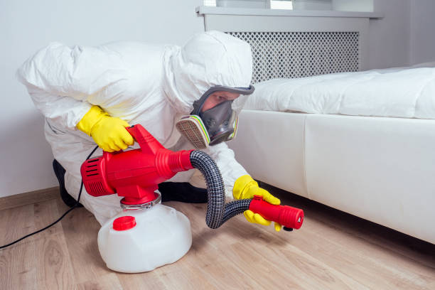Best Local Pest Control Services  in Combes, TX