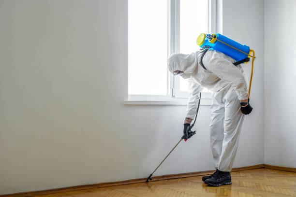 Best Residential Pest Control  in Combes, TX