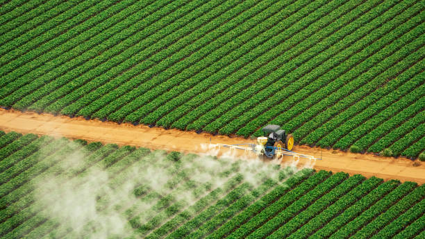 Professional Pest Control in Combes, TX